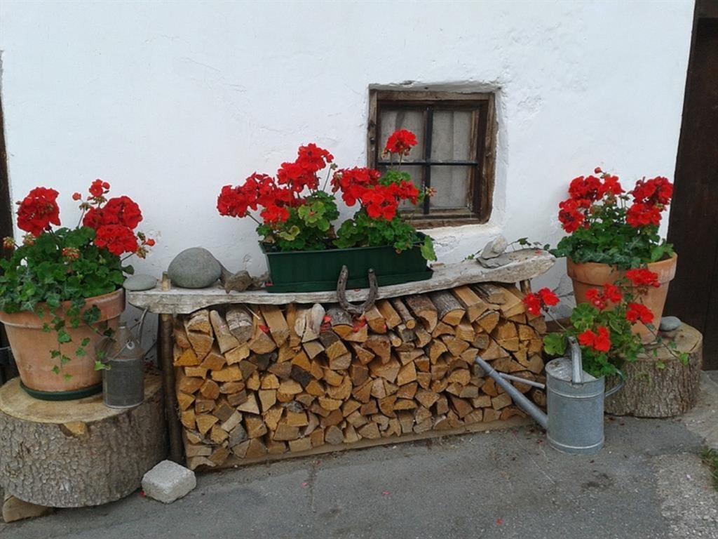 Oberseebachhof Scheffau am Wilden Kaiser Dış mekan fotoğraf