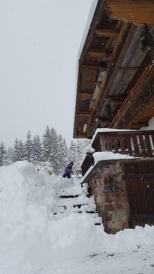 Oberseebachhof Scheffau am Wilden Kaiser Dış mekan fotoğraf